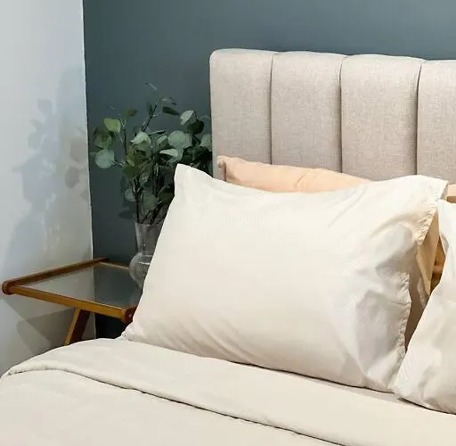 New Modern Cozy In Ayala Business Park *